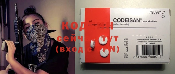 ECSTASY Абаза