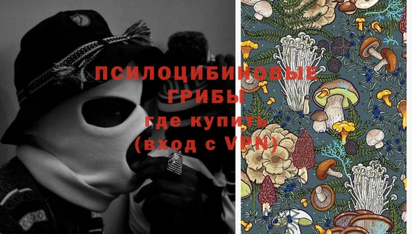 ПСИЛОЦИБИНОВЫЕ ГРИБЫ Алзамай