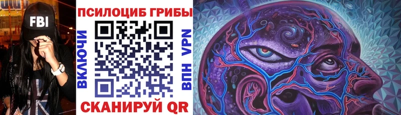 МЕГА вход  Богданович  Псилоцибиновые грибы Magic Shrooms 