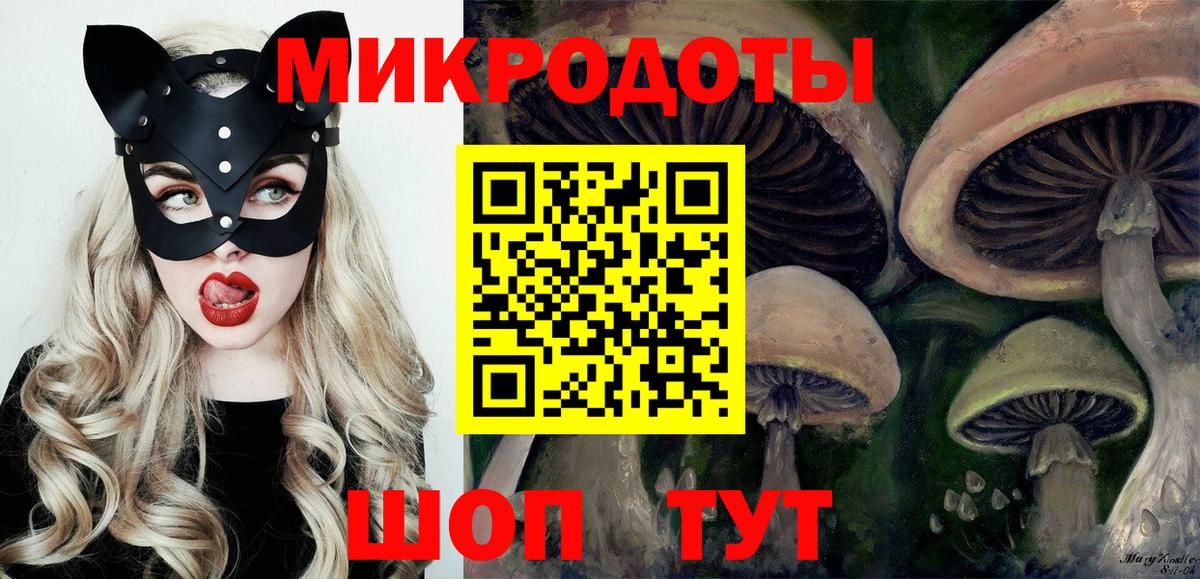 Псилоцибиновые грибы GOLDEN TEACHER Богданович